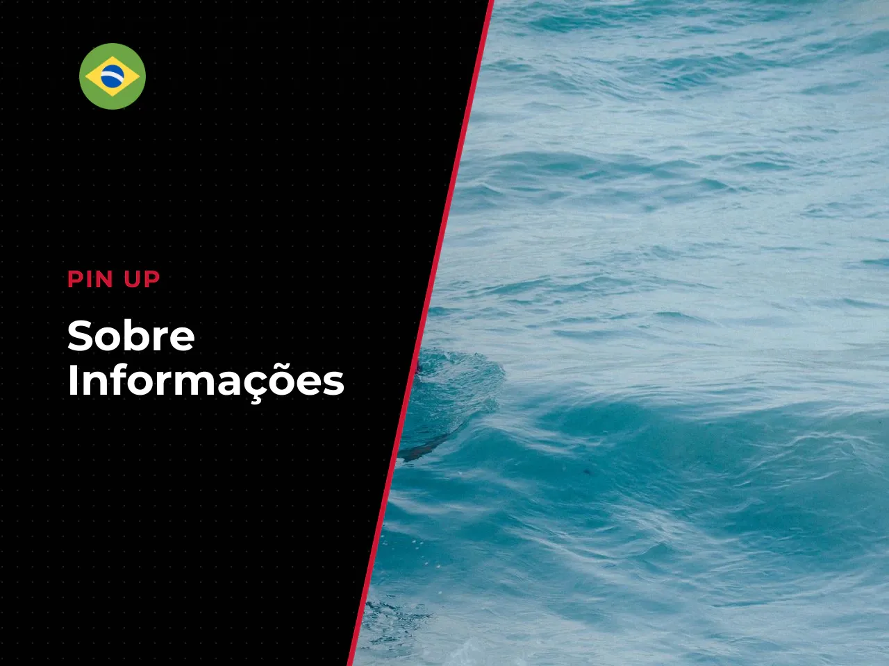 Sobre a Pin Up informações da