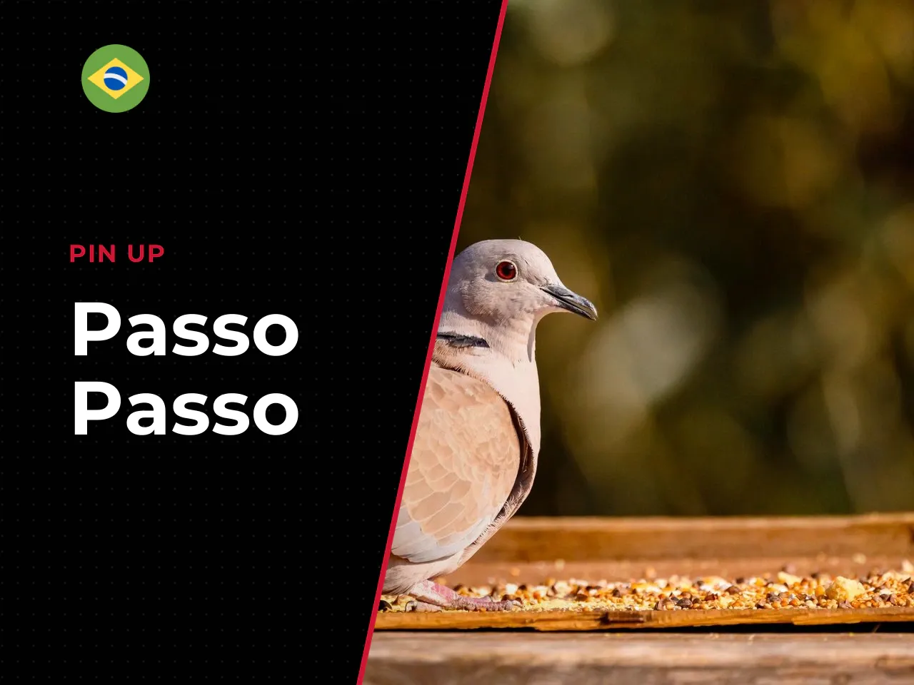 Passo a passo para instalação do